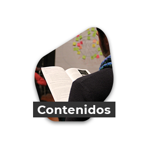 ico-contenidos